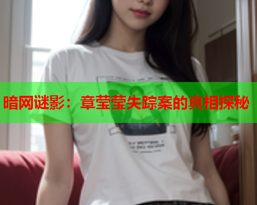 暗网谜影：章莹莹失踪案的真相探秘