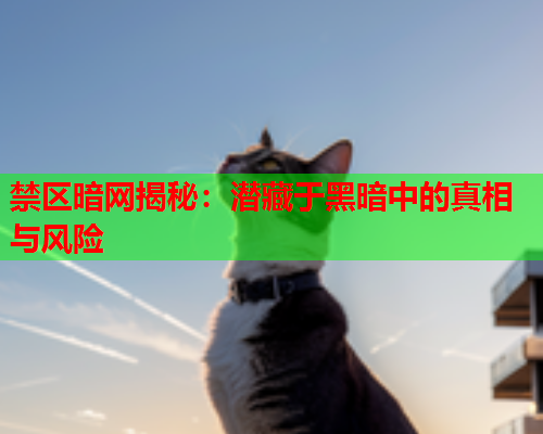 禁区暗网揭秘：潜藏于黑暗中的真相与风险