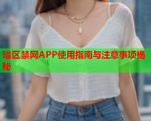 暗区禁网APP使用指南与注意事项揭秘