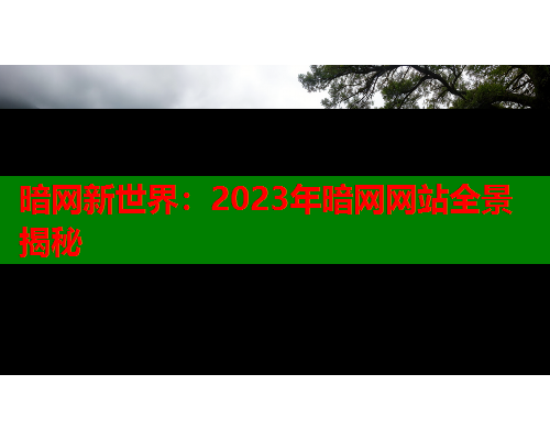 暗网新世界：2023年暗网网站全景揭秘