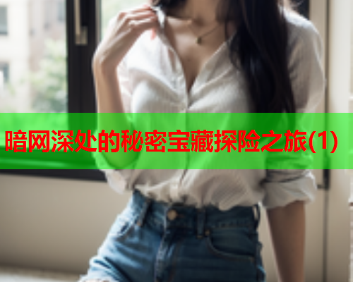 暗网深处的秘密宝藏探险之旅(1)