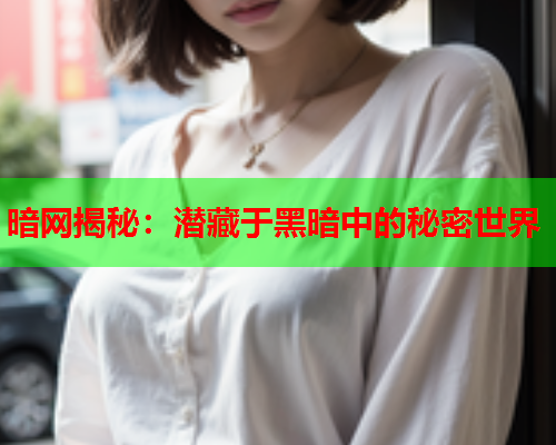 暗网揭秘：潜藏于黑暗中的秘密世界