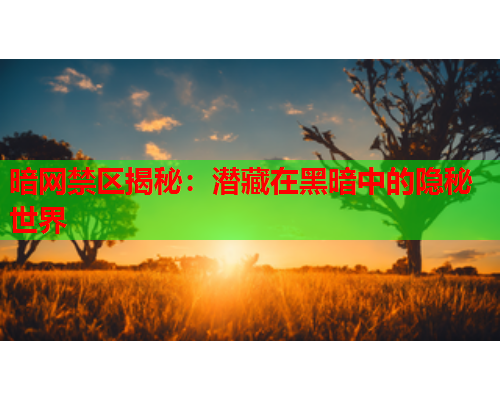 暗网禁区揭秘：潜藏在黑暗中的隐秘世界