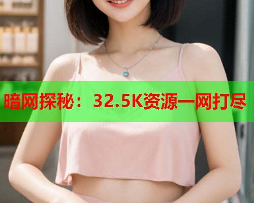 暗网探秘：32.5K资源一网打尽