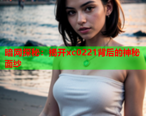 暗网探秘：揭开xc0221背后的神秘面纱