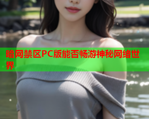 暗网禁区PC版能否畅游神秘网络世界