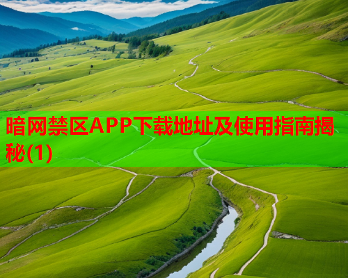 暗网禁区APP下载地址及使用指南揭秘(1)