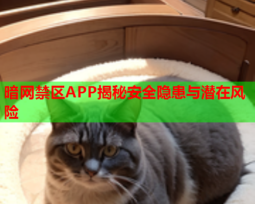 暗网禁区APP揭秘安全隐患与潜在风险