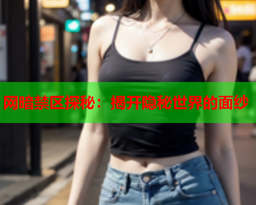 网暗禁区探秘：揭开隐秘世界的面纱