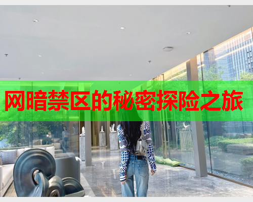 网暗禁区的秘密探险之旅