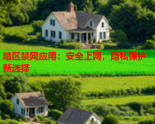 暗区禁网应用：安全上网，隐私保护新选择