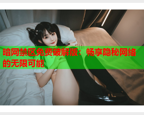 暗网禁区免费破解版：畅享隐秘网络的无限可能