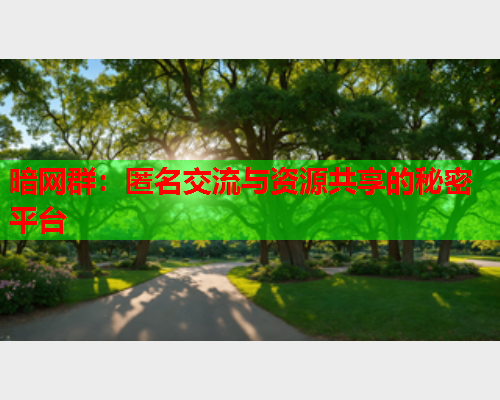 暗网群：匿名交流与资源共享的秘密平台