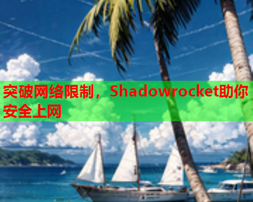 突破网络限制，Shadowrocket助你安全上网